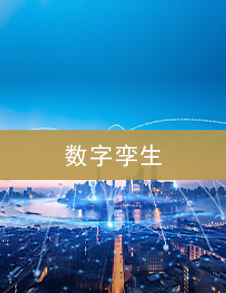武汉数字孪生